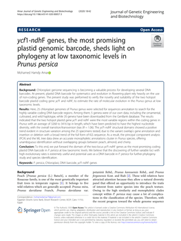 Ycf1-Ndhf Genes, the Most Promising Plastid Genomic Barcode, Sheds Light on Phylogeny at Low Taxonomic Levels in Prunus Persica Mohamed Hamdy Amar