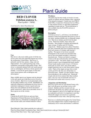 RED CLOVER This Plant May Become Weedy Or Invasive in Some Regions Or Habitats and May Displace Other Vegetation Trifolium Pratense L