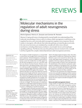 Molecular Mechanisms in the Regulation of Adult Neurogenesis During Stress