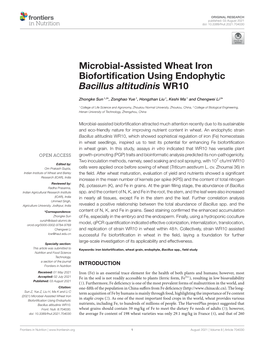 Microbial-Assisted Wheat Iron Biofortification Using Endophytic