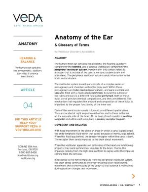 Anatomy of the Ear ANATOMY & Glossary of Terms