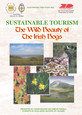 The Travel and Tourism Programme in Ireland Scoil Dara Kilcock, Co