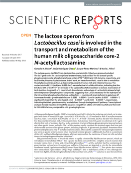 The Lactose Operon from Lactobacillus Casei Is Involved in the Transport