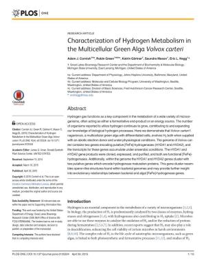 Characterization of Hydrogen Metabolism in the Multicellular Green Alga Volvox Carteri