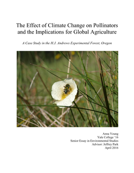 The Effect of Climate Change on Pollinators and the Implications for Global Agriculture