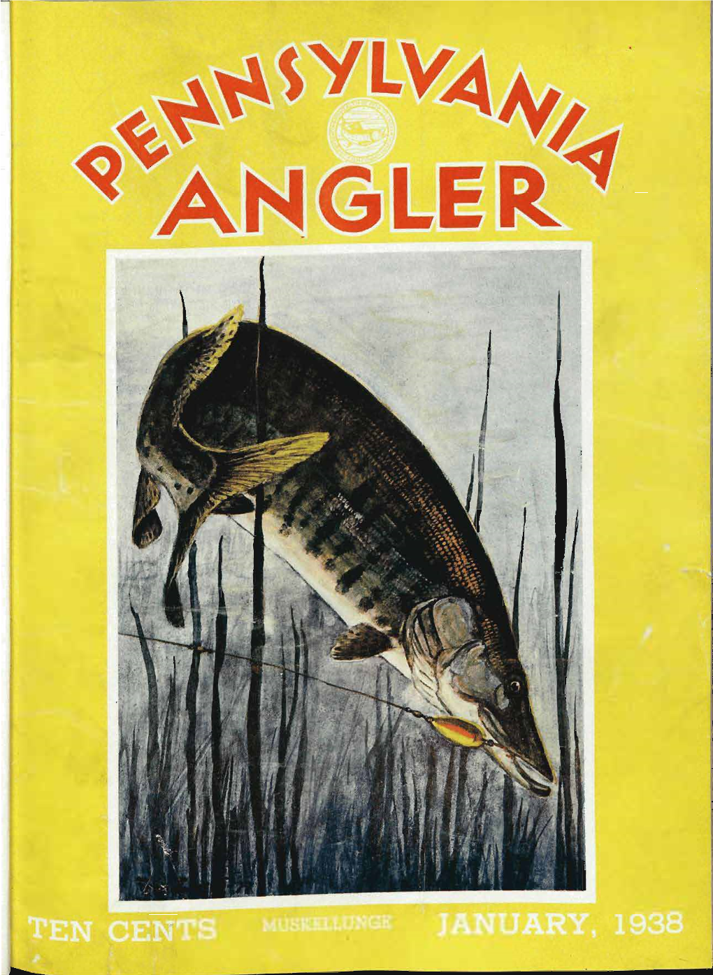 JANUARY, 1938 PUBLICATION ''ANGLER'* Vol