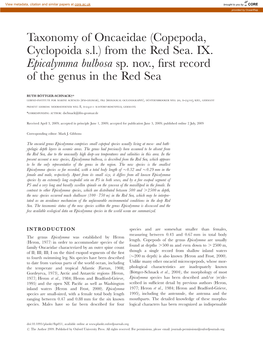 Taxonomy of Oncaeidae (Copepoda, Cyclopoida S.L.) from the Red Sea