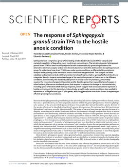 The Response of Sphingopyxis Granuli Strain TFA to the Hostile Anoxic