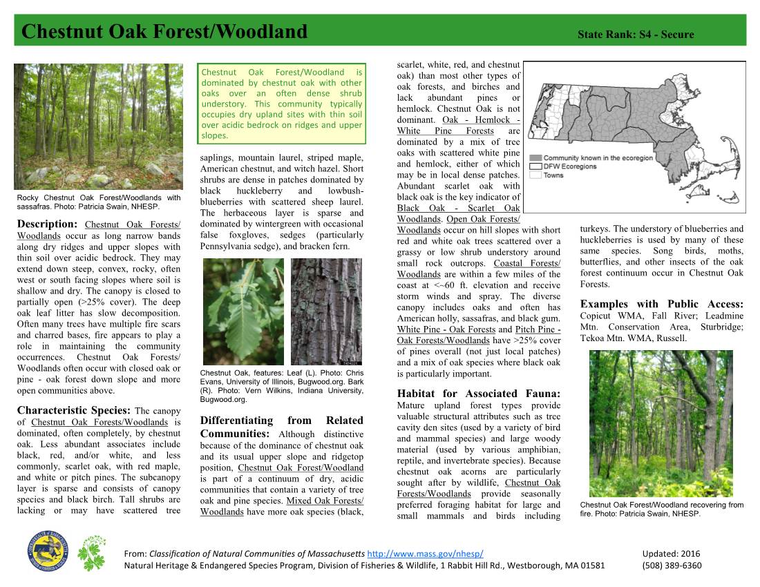 And Chestnut Oak Forest/Woodland Recovering from Lacking Or May Have Scattered Tree Woodlands Have More Oak Species (Black, Small Mammals and Birds Including Fire