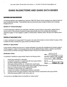 Gang Injunctions and Gang Data Bases