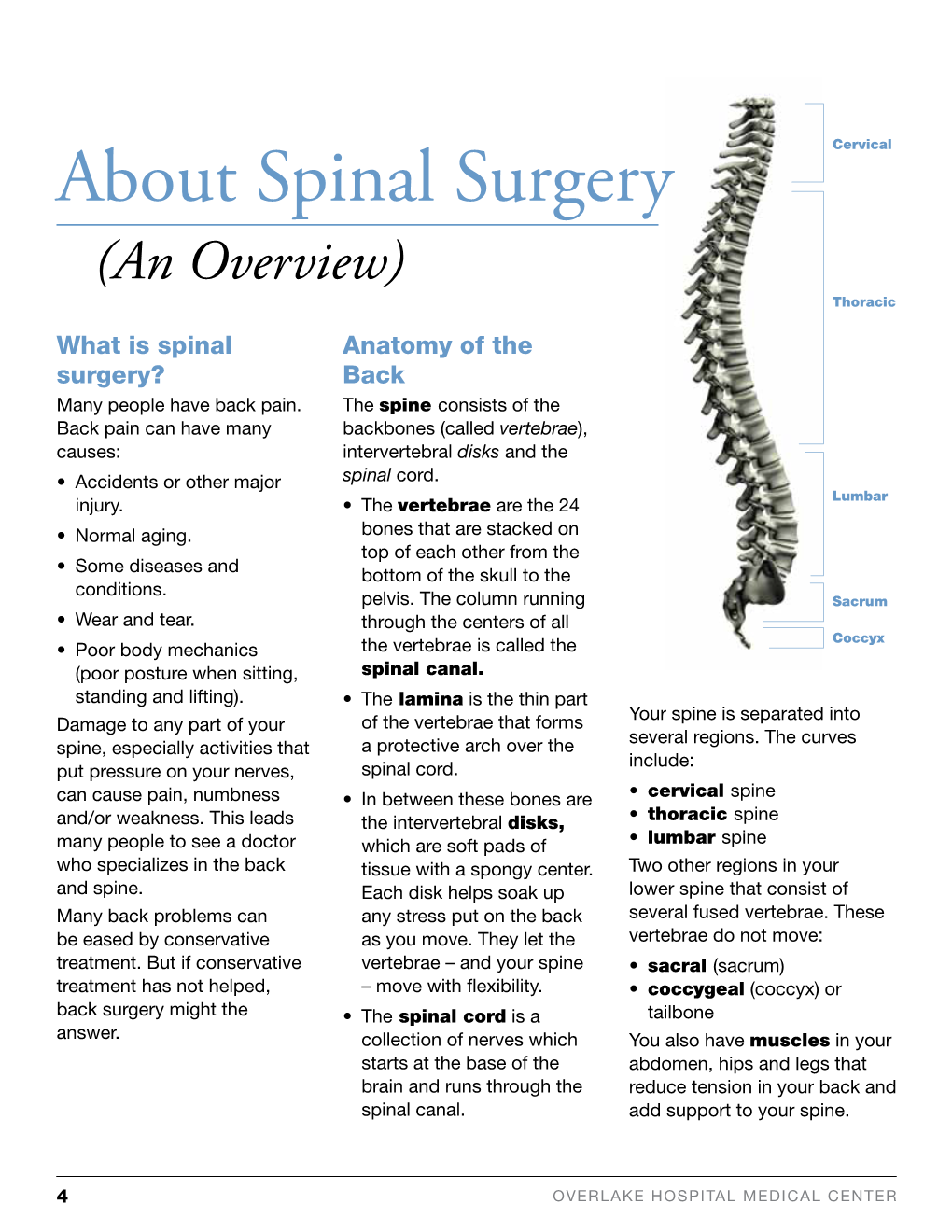 About Spinal Surgery (An Overview) Thoracic What Is Spinal Anatomy Of ...