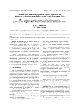 Six New Species of the Buprestid Tribe Acmaeoderini (Coleoptera: Buprestidae: Polycestinae) from Southwest Asia Шесть Но