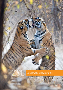 ZSL Conservation Review 2010-2011