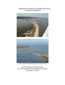 Assessing the Impacts of Hurricane Sandy on Coastal Habitats', by the American Littoral Society For