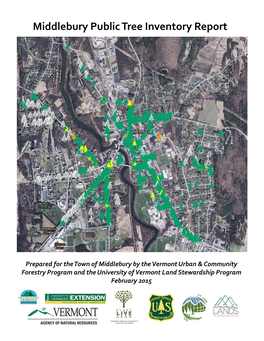 Middlebury Public Tree Inventory Report