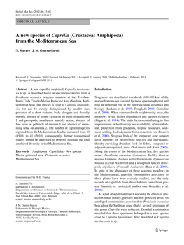 A New Species of Caprella (Crustacea: Amphipoda) from the Mediterranean Sea