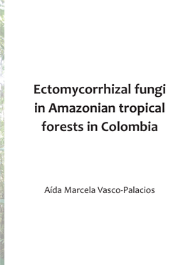 Ectomycorrhizal Fungi in Amazonian Tropical Forests in Colombia