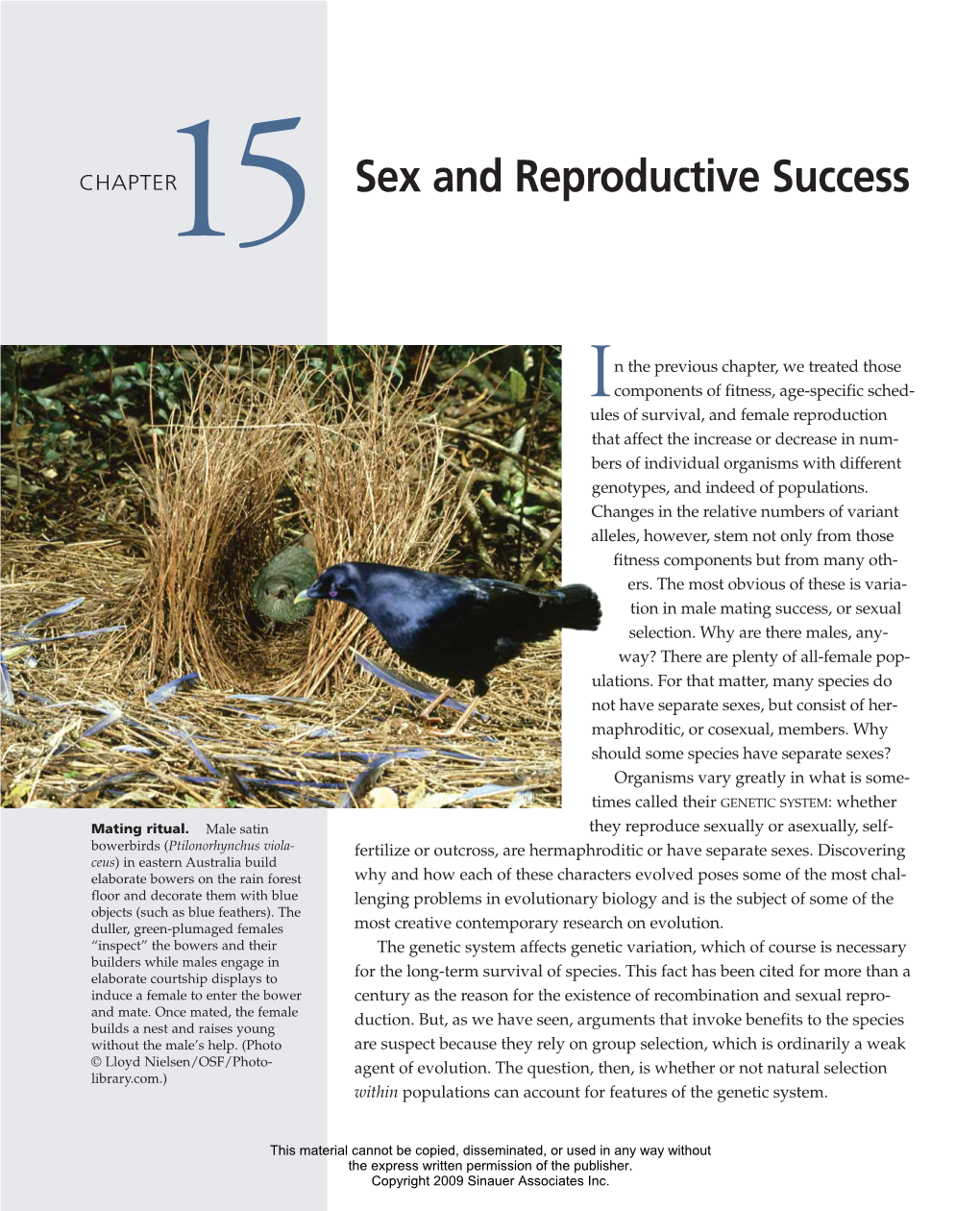 Sex and Reproductive Success