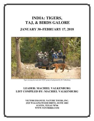 India: Tigers, Taj, & Birds Galore