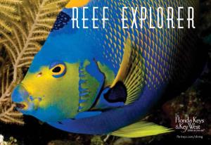 Reef Explorer Guide Highlights the Underwater World ALLIGATOR of the Florida Keys, Including Unique Coral Reefs from Key Largo to OLD CANNON Key West