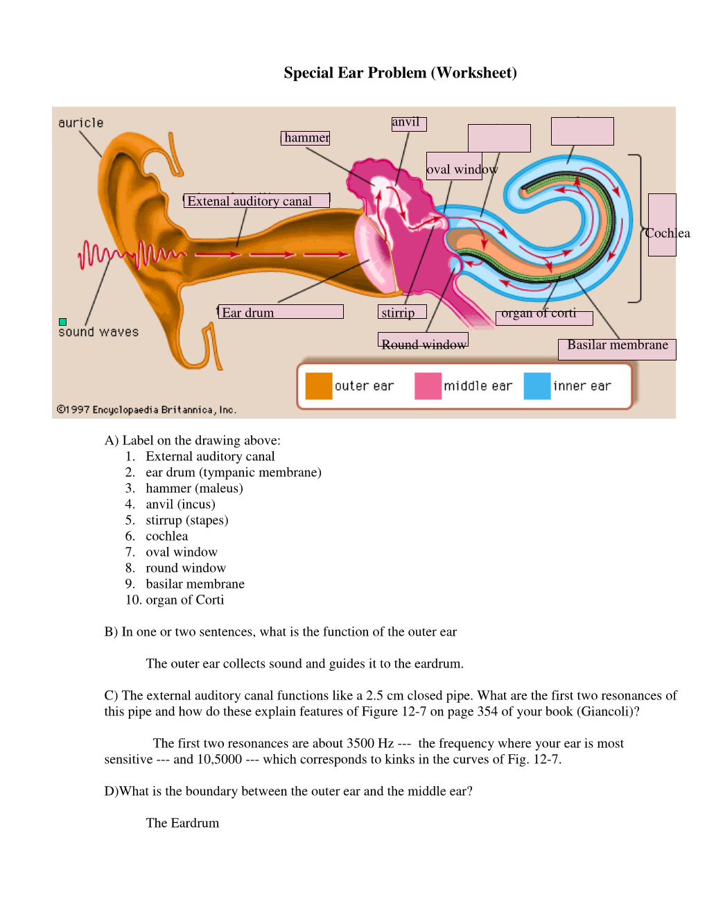 Special Ear Problem (Worksheet)