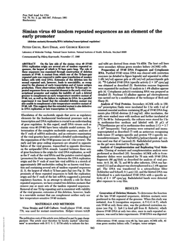 Simian Virus 40 Tandem Repeated Sequences As an Element of The