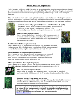 Native Aquatic Vegetation (PDF)