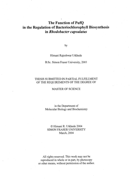 The Function of Pufq in the Regulation of Bacteriochlorophyll Biosynthesis in Rhodobacter Capsulatus