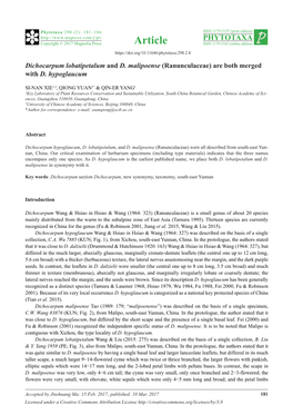 Dichocarpum Lobatipetalum and D. Malipoense (Ranunculaceae) Are Both Merged with D