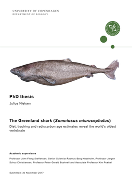 The Greenland Shark (Somniosus Microcephalus) Diet, Tracking and Radiocarbon Age Estimates Reveal the World’S Oldest Vertebrate
