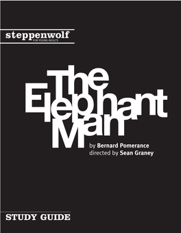 The Elephant Man at Steppenwolf Theatre