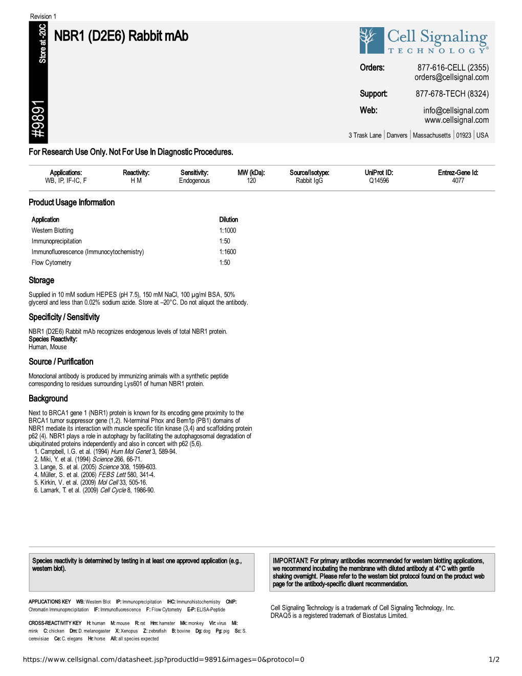 NBR1 (D2E6) Rabbit Mab A