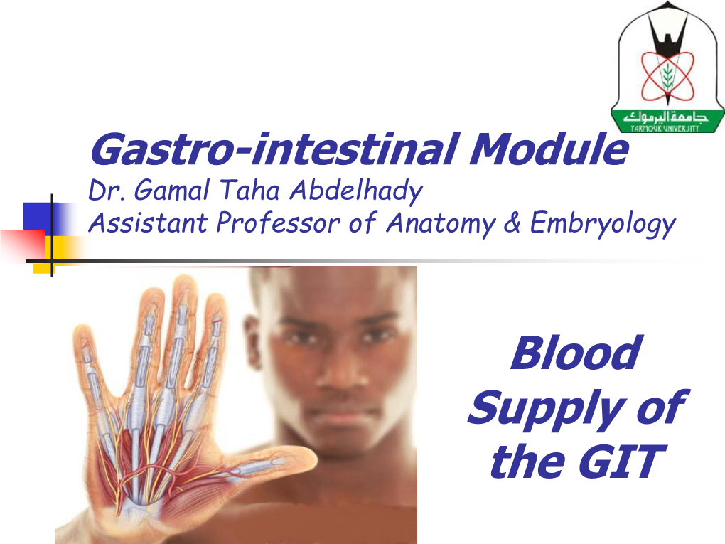 Inferior Mesenteric Artery Abdominal Aorta