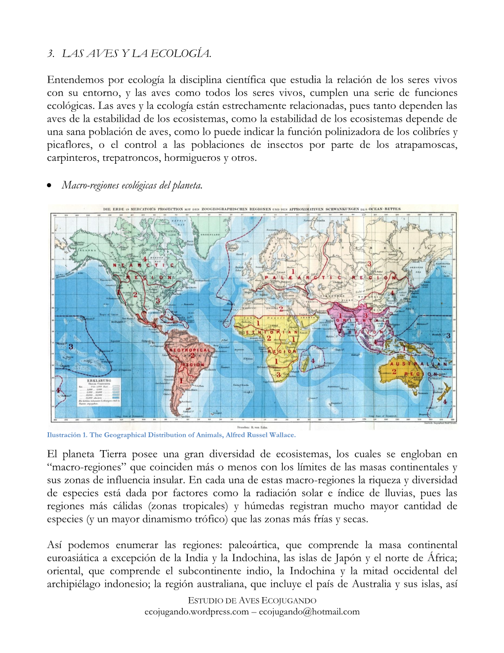 3. LAS AVES Y LA ECOLOGÍA. Entendemos Por Ecología La