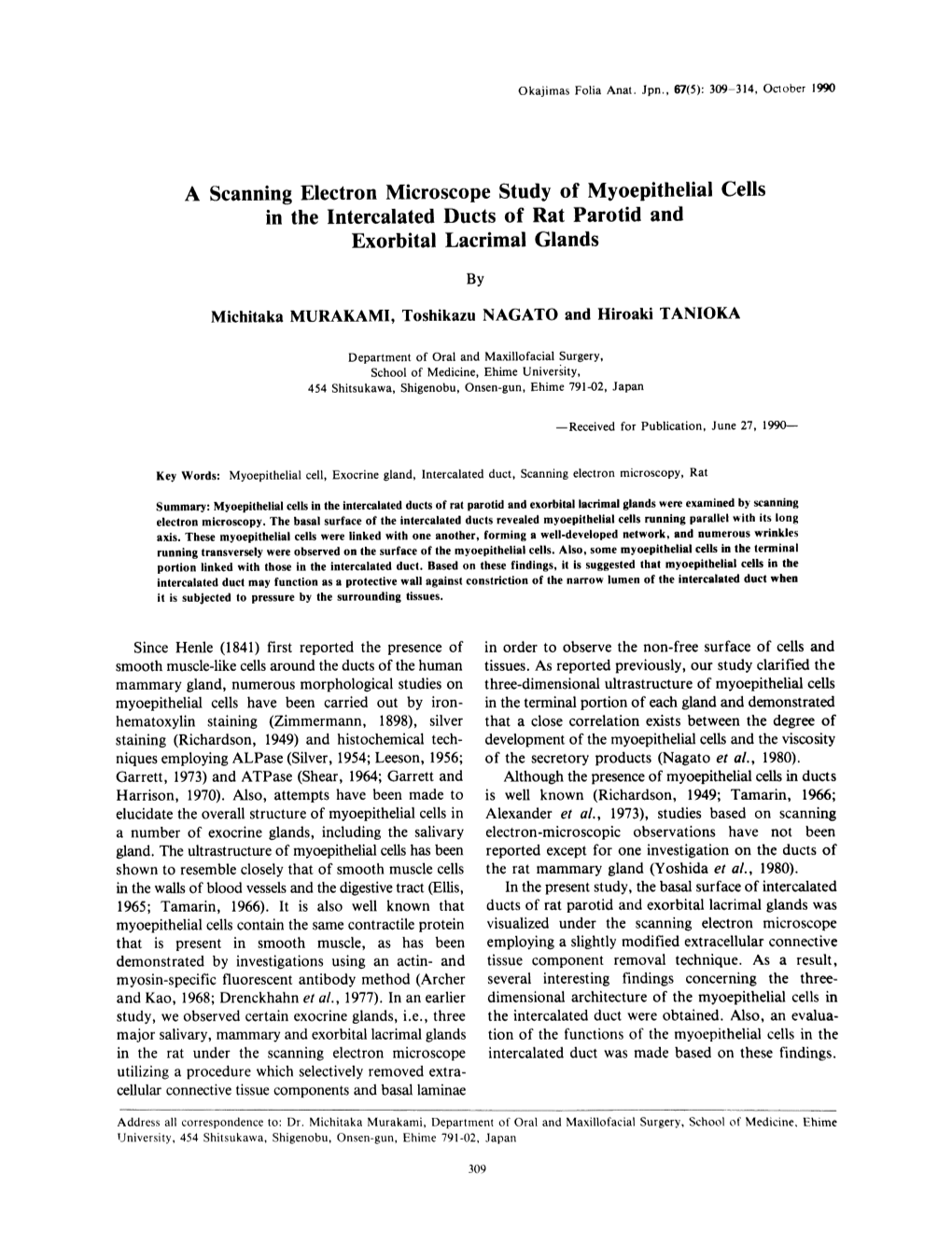 A Scanning Electron Microscope Study Of Myoepithelial Cells In The Intercalated Ducts Of Rat