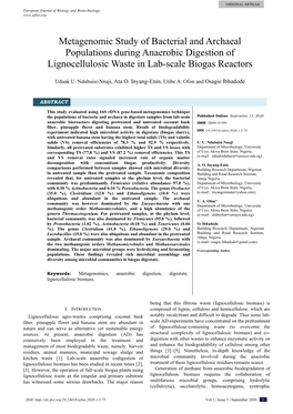 Metagenomic Study of Bacterial and Archaeal Populations During Anaerobic Digestion of Lignocellulosic Waste in Lab-Scale Biogas Reactors