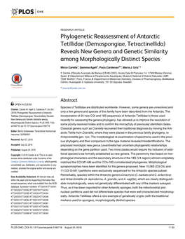 Phylogenetic Reassessment of Antarctic Tetillidae (Demospongiae, Tetractinellida) Reveals New Genera and Genetic Similarity Among Morphologically Distinct Species