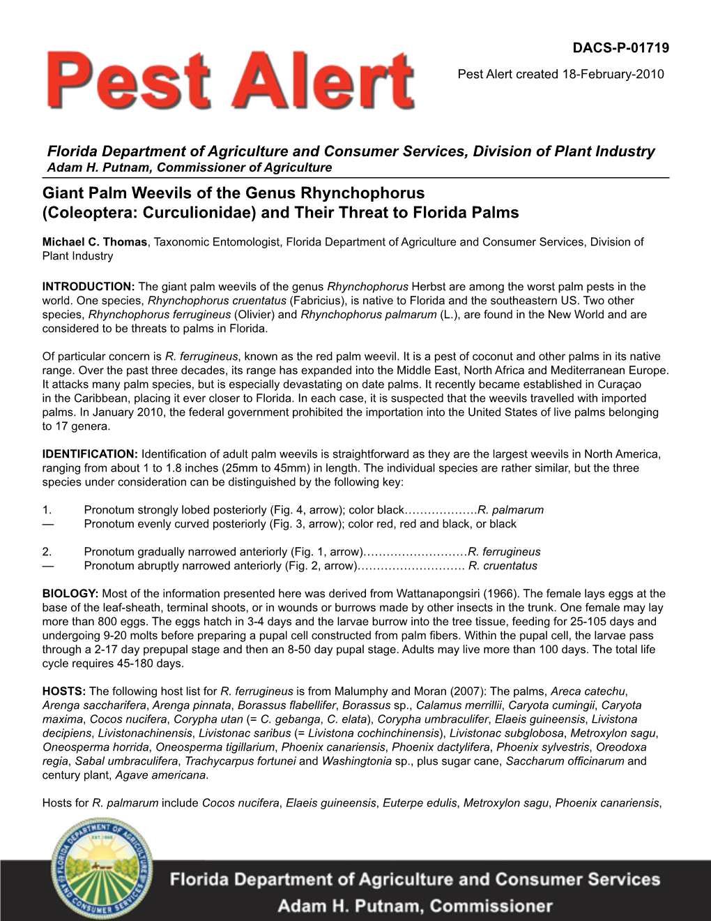 Giant Palm Weevils of the Genus Rhynchophorus (Coleoptera: Curculionidae) and Their Threat to Florida Palms