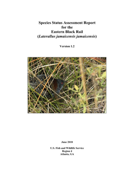 Species Status Assessment Report for the Eastern Black Rail (Laterallus Jamaicensis Jamaicensis)