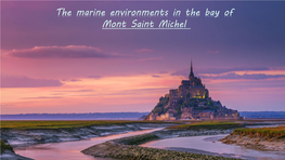 The Marine Environments in the Bay of Mont Saint Michel the Tidal Bore