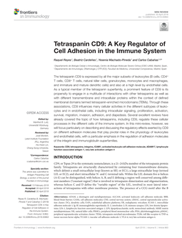 Tetraspanin CD9: a Key Regulator of Cell Adhesion in the Immune System