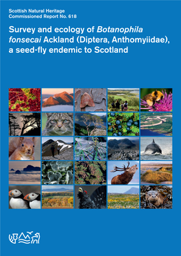Survey and Ecology of Botanophila Fonsecai Ackland (Diptera, Anthomyiidae), a Seed-Fly Endemic to Scotland