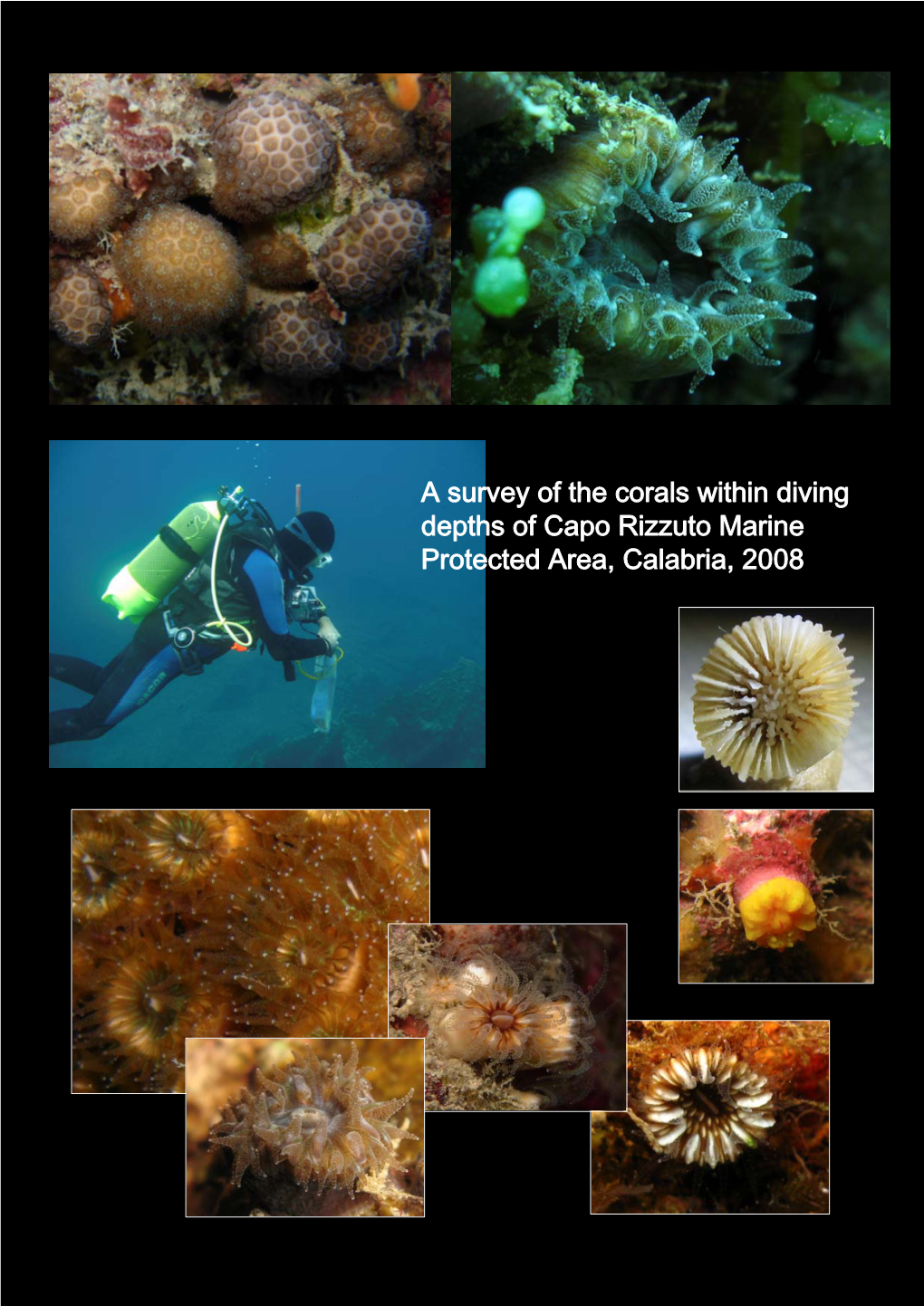 A Survey of the Corals Within Diving Depths of Capo Rizzuto Marine Protected Area, Calabria, 2008 Index