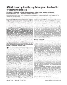 BRCA1 Transcriptionally Regulates Genes Involved in Breast Tumorigenesis