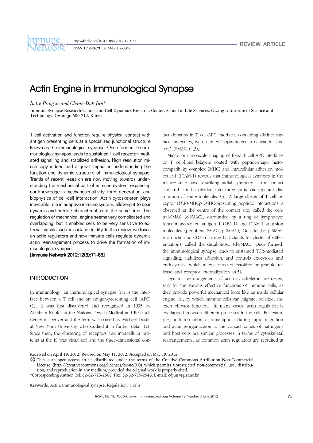 Actin Engine in Immunological Synapse