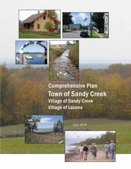 Town of Sandy Creek Comprehensive Plan - July 2014 1 2 Town of Sandy Creek Comprehensive Plan - July 2014 Table of Contents