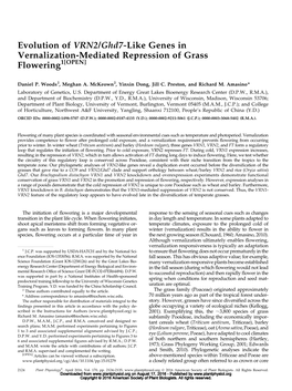 Evolution of VRN2/Ghd7-Like Genes in Vernalization-Mediated Repression of Grass Flowering1[OPEN]