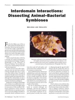 Interdomain Interactions: Dissecting Animal–Bacterial Symbioses