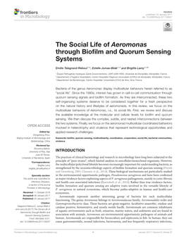 The Social Life of Aeromonas Through Biofilm and Quorum Sensing Systems