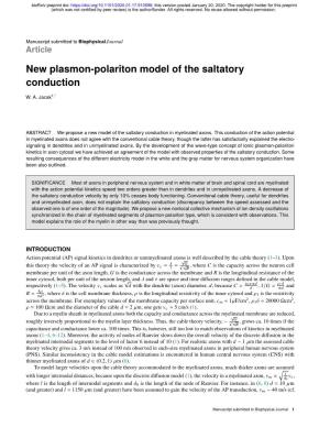 New Plasmon-Polariton Model of the Saltatory Conduction